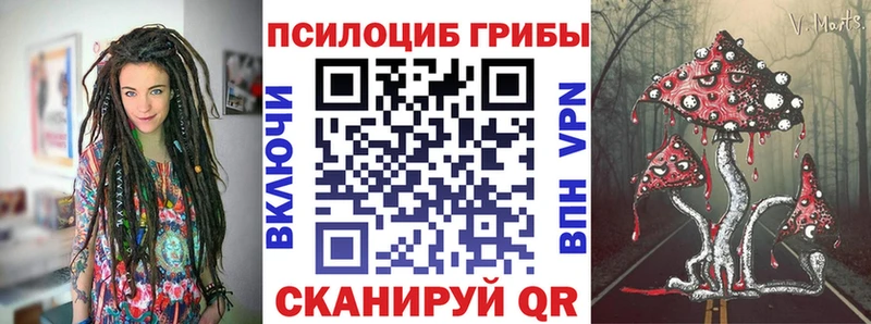 Псилоцибиновые грибы MAGIC MUSHROOMS  купить наркотик  Кузнецк 